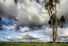 东升国际：CBA北京计划内出意外，一节被逆转19分，不是老天安排是有人安排.