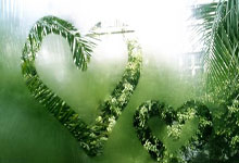 东升国际：荷兰球星站在球场玩杂技引发愤怒，巴西一场决赛制造4红牌13黄牌.